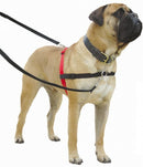 Halti Harness Rood/zwart SMALL