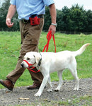 Company Of Animals Halti Zwart NR 1