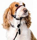 Halti Optifit Zwart MEDIUM