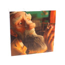 blokkenpuzzel De Kleine Prins junior hout 9-delig