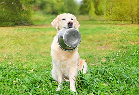Happy Pet Voerbak Rvs 29 CM