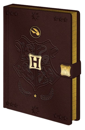 notitieboek Quidditch 21 x 15 cm A5 bruin/goud