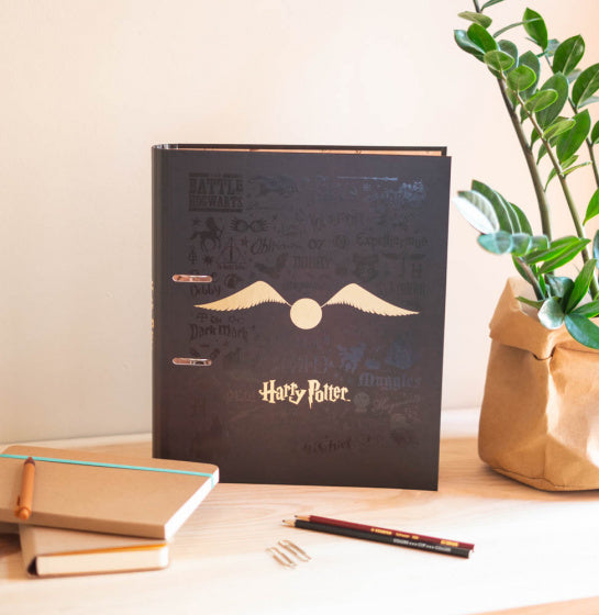 ringband Glasses 2-rings A4 32 x 28 cm karton bruin