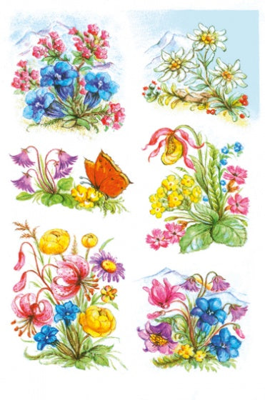 etiketten 6 stuks 16 x 9 cm bloemen