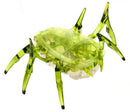 speelfiguur Scarab junior 5,7 x 8,3 x 4 cm groen