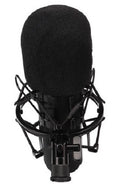 condensatormicrofoon 5 x 18 cm zwart