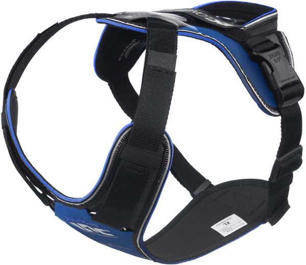 JULIUS K9 IDC HONDENTUIG LONGWALK BLAUW / GRIJS XL 70-96 CM 20-28 KG