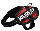 Julius K9 Power-harnas/tuig Voor Labels Rood BABY 2/35-43 CM