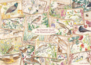 legpuzzel Falcon Country Diary Postcards 1000 stukjes