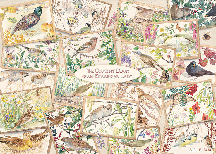 legpuzzel Falcon Country Diary Postcards 1000 stukjes