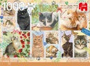 legpuzzel Cat Stamps 1000 stukjes