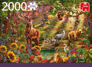 legpuzzel Magic Forest At Sunset 2000 stukjes