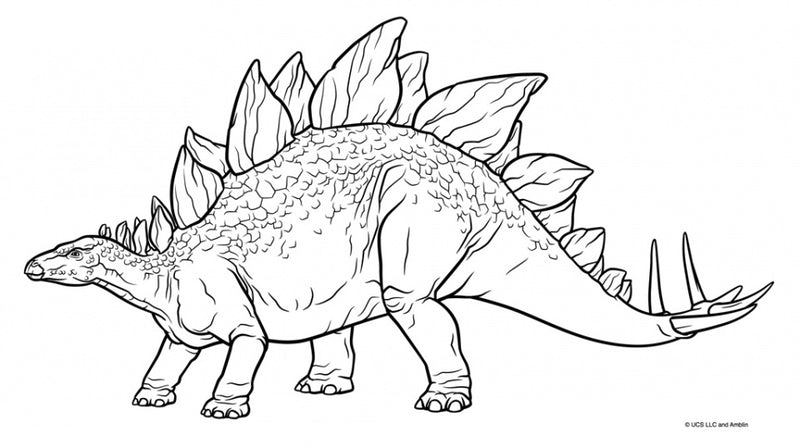 kleur- en stickerboek 23 x 33 cm papier blauw