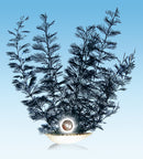 toverschelp met verassing