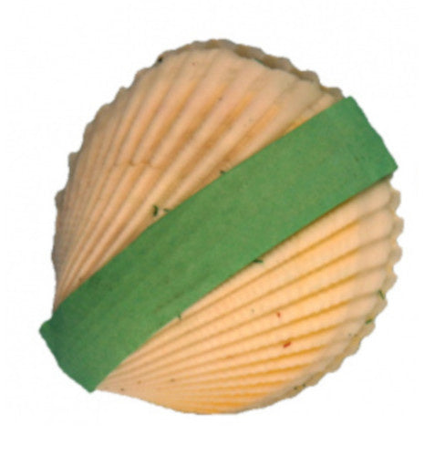 toverschelp met zeegras groen