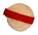 toverschelp met zeegras rood