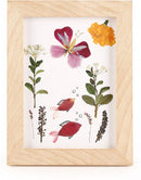 maak je eigen herbariumlijst 13 x 17 cm hout naturel