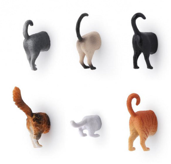 magneten Cat Butt 3,5 x 3,5 x 2 cm vinyl 6-delig