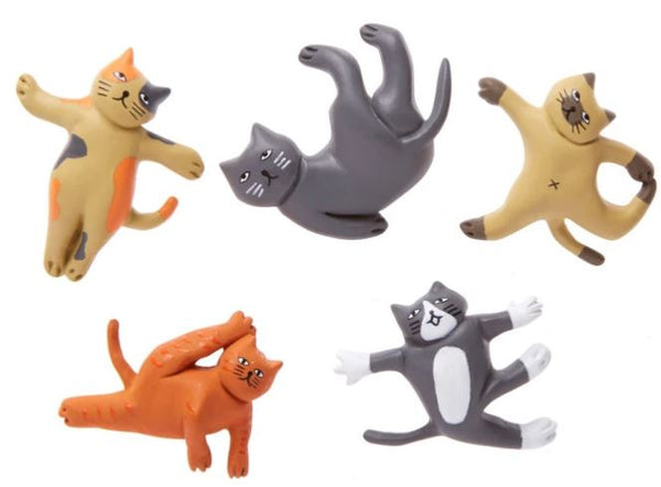 magneten katten 4,3 x 3,3 cm PVC 5 stuks