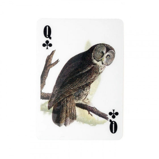 3D-speelkaarten vogels 62 x 88 mm papier 54-delig
