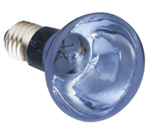 Komodo Neodymium Daglicht Lamp Es 75 WATT