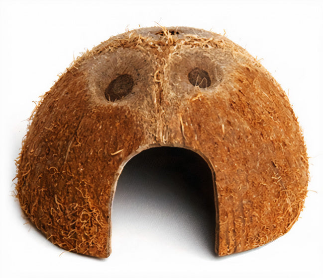 Komodo Coconut Den