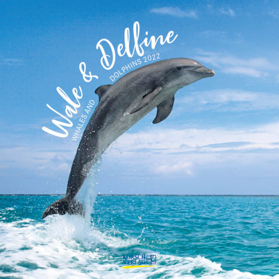 kalender 2022 Whales & Dolphins 30 x 30 cm papier
