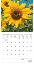 wandkalender 2022 Bijen 30 x 30 cm papier