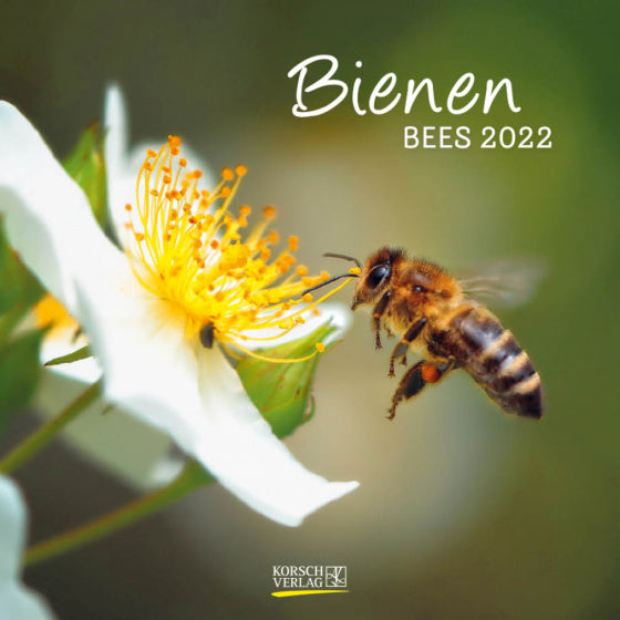 wandkalender 2022 Bijen 30 x 30 cm papier