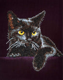 Midnight Cat With Frame Diamond Dotz - 28x36 cm - Diamond Painting