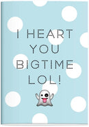 Schrift Emo Fun A4 geruit - Schoolschrift Stationery Team Emofun