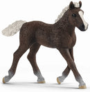 schleich HORSE CLUB Zwarte Woud Veulen 13899