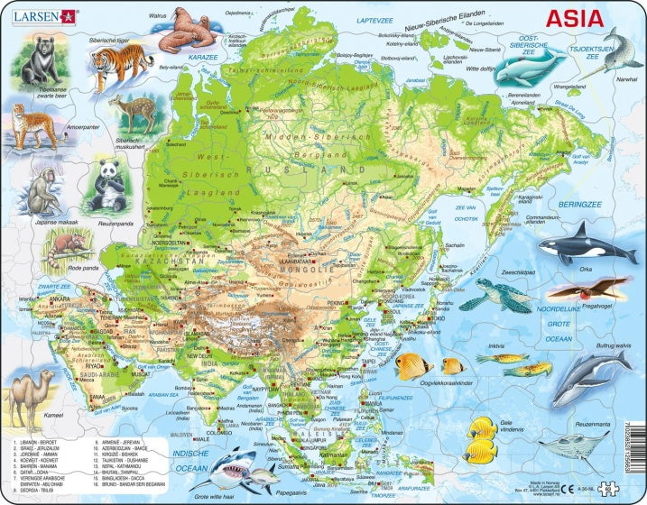 legpuzzel Maxi Azië junior karton 63 stukjes