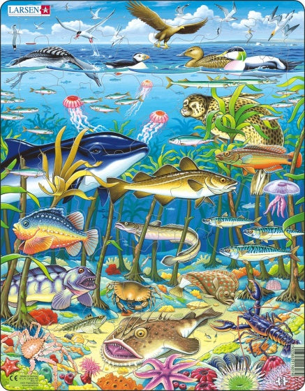 Larsen Legpuzzel Dieren - Zeedieren in de Noord-Atlantische Oceaan, 60st.