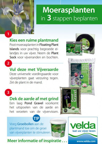 VELDA VIJVERPLANTAARDE MOERINGS 10 L