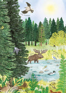 kinderboek De bossen in 31,2 x 24,7 cm