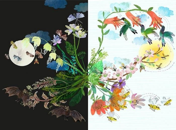 kinderboek Het Briljante Bloemen Boek 35 x 24 cm