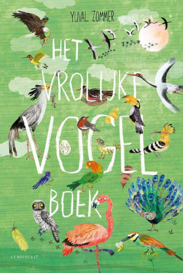 kinderboek Het Vrolijke Vogel Boek 35 x 24 cm