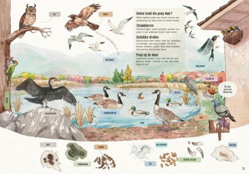 kinderboek Speur poep 30,3 x 21,9 cm