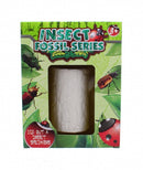 graafset Insect Fossil groen/crème