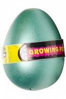 groei-ei krokodil jongens 10,5 cm groen
