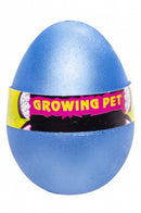 groei-ei narwal 7 cm