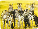 legpuzzel Zebra junior karton 15 stukjes