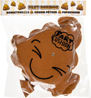 scheetkussen poep 18 cm bruin