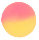 stuiterbal oranje 2,5 cm