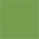 Super Ferby kleurpotloden groen 12 stuks