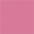 Super Ferby kleurpotloden roze 12 stuks