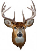 legpuzzel I am Buck 300 stukjes