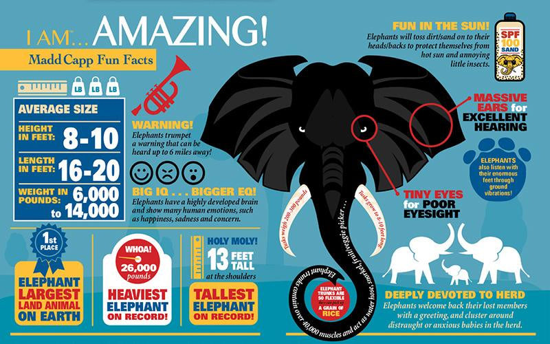 puzzel I am Elephant karton 300 stukjes