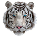 puzzel I am White Tiger 300 stukjes
